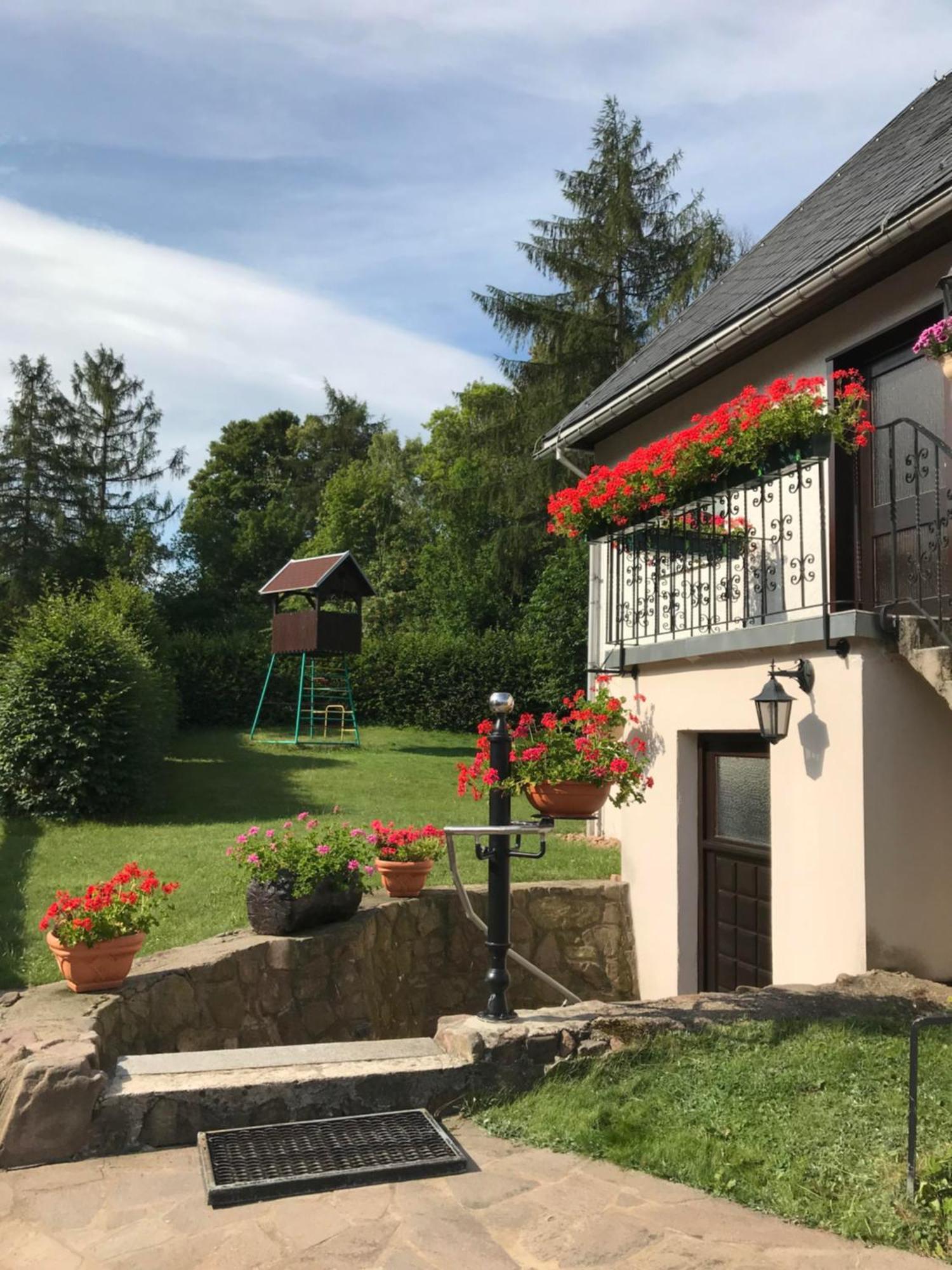 Ferienwohnung Grieser Geising Exterior photo
