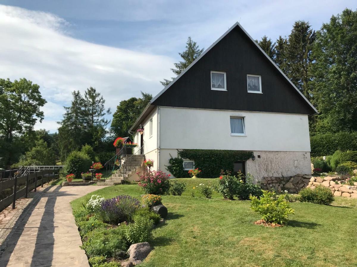 Ferienwohnung Grieser Geising Exterior photo